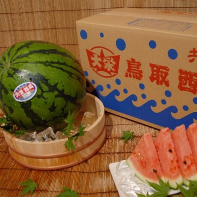 【８日間のおてつたび◎】北栄町特産「大栄西瓜（だいえいすいか）」販売のお手伝い🍉青山剛昌ふるさと館まですぐ👓