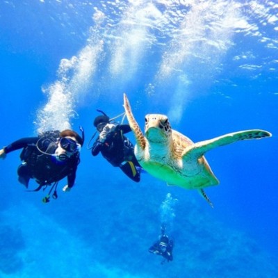 沖縄離島／客室清掃・レストランホールの手伝い（ダイビング・スノーケル無料）