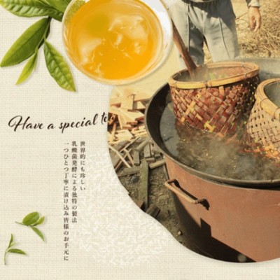 地域おこし協力隊から茶農家へ徳島上勝町の農業の魅力を知ってほしい！お茶摘みのお手伝い☕