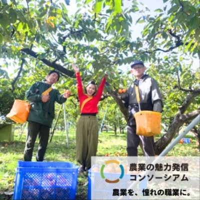 【農業の魅力発信👨🏻‍🌾】アパレルから農業に飛び込んだ園主と市田柿加工のお手伝い。農業の可能性を追求する園主から市田柿と自然豊かな南信州を味わえるおてつたび