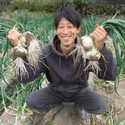 【3月後半🧅】砂地で育ち、日本一早く出荷される新玉ねぎの収穫作業！海に近い！空も広い！パワーワークが好きな方！一緒に収穫作業に没頭しましょう