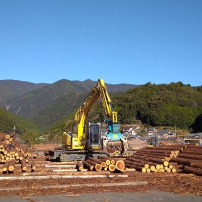 Excel VBA経験者/Excelの達人大歓迎🌳現地での交通手段を確保できる方🚗世界遺産 熊野古道の安全を守る"本宮町森林組合"で、経営のDX化を一緒に推進してくださるアドバイザー募集