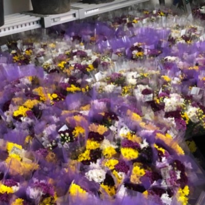 日中はエアコンの効いた作業部屋で花束作り。朝夕の花の収穫作業など。