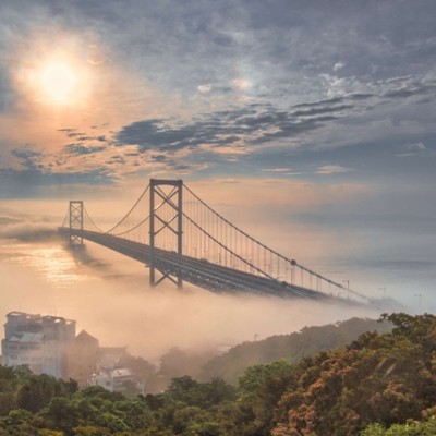 【午前or午後のみ🌱】潮風感じる海辺で特産品「鳴門らっきょ」のおてつたび！宿泊は個室付シェアハウス🏠