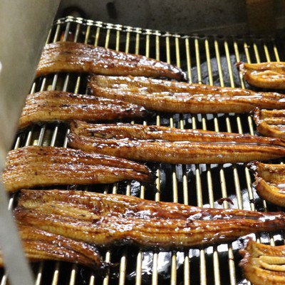 日本一のウナギ生産量を誇る鹿児島県にある”大崎町”で本物の国産鰻に関わるお仕事です！（養殖～生産まで一貫管理している加工場）