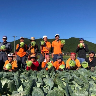 日本最大級のキャベツ収穫！タマネギ定植を経験してみませんか？？？