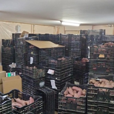 豪雪地津南町で干し芋作り♪越後妻有でお手伝いしませんか？