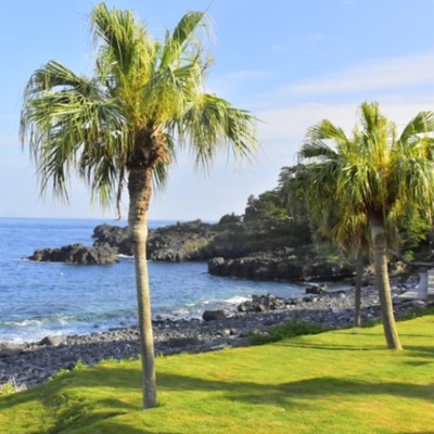 海と山に囲まれた大人気スポット伊豆高原で観光しながら働いてみませんか！