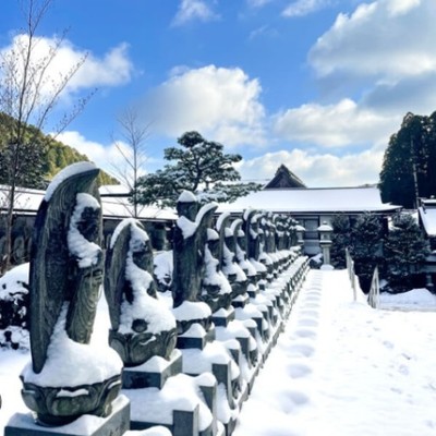 緊急募集！【冬の世界遺産・高野山で心清らかに過ごしませんか？】1200年続く天空都市・世界遺産にあるお寺の中で「おてつたび」はいかがですか？2024年10月に女性用ワンルーム型社宅のリノベーション完了！快適に高野山での暮らしを体験できます