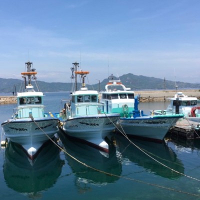 海のお仕事穏やかな瀬戸内のちりめん漁！１名今期最終募集中！穏やかな海で漁の補助などのお手伝いです。免許不要、経験不問！