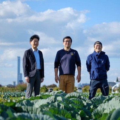大阪府の南西部「泉州」で農作業のお手伝い！泉州の野菜にたっぷりと触れていただきます!!!泉州地域の魅力を感じてください！