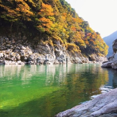 山奥の自然豊かな施設で楽しい仲間と一緒に働きませんか？