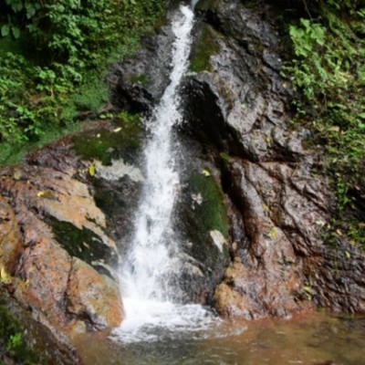 粟鹿滝ウォーキングとあわがの花舞台スタッフ募集！　アウトドア等好きな方は是非！