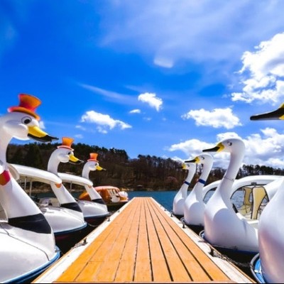 蓼科湖の自然を遊び尽くす🌿幅広い年代に大人気の「蓼科レジャーランド」でお客様接客＆運営のお手伝い