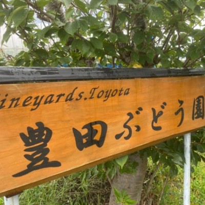 「自分の生き方＝ライフキャリア」を考えられるまち 島根県益田市で体験する豊かな暮らし 〜豊田ぶどう園編〜