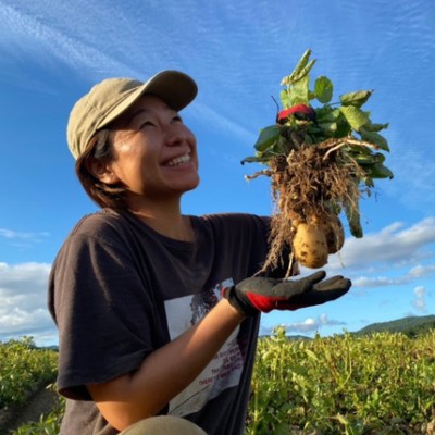 北海道剣淵町で農業のお手伝い！広大な大地でかぼちゃやじゃがいもの収穫作業をしませんか？アルパカにも会えるかも
