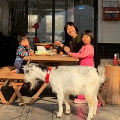 【空家再生】20万円で購入した空家を掃除して『移住お試しシェアハウス』を作るおてつたび。（第1期：男女3名募集）