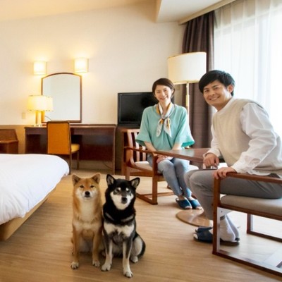 リピーター多数🙆🏻‍♀️わんちゃんと泊まれるホテルで楽しく清掃のお手伝いをしませんか？15時以降は完全フリー♪伊豆高原には観光スポットが沢山🐶🌵冬も伊豆で楽しもう！