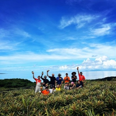 農業に興味のある方、就農を考えられている方歓迎！優雅に"島ライフ"だけでなく、熱く汗水垂らし一緒に収穫シーズンを駆け抜けてくれるおてつびと募集!!炎天下の西表島で「幻の西表島産ピーチパイン」収穫のおてつたび🍍