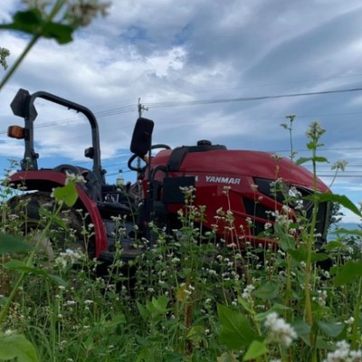 マニュアルの軽トラを運転できますか？今回は秋蕎麦の刈取り工程になるコンバインを使った蕎麦の実の収穫のお手伝いをしていただきます。畑の中をコンバインと並走しなが軽トラを運転してもらう仕事がメインになってきます。10万㌔走った可愛い軽トラです。