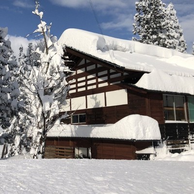 ネコ宿の冬のお手伝い。雪堀りをお願いします！