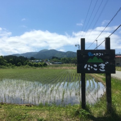 [2022年 １０／８（土）〜１０／１８（火）] なまはげの故郷、秋の秋田県男鹿半島、田んぼと森林に囲まれた一軒家の泊まれる古民家カフェで一緒に働いてみませんか？？