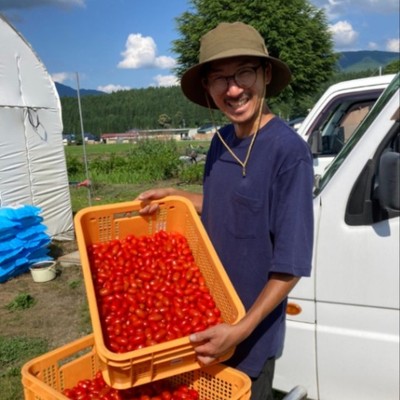『最大２週間』秋田県鹿角市でフルーツトマト収穫のお手伝いと、ご自身のお仕事をしながら地域と関わってみませんか？～「半農半X」体験者募集～