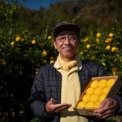 【追加募集！】大自然の中でゆずの収穫！🍊