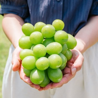岡山県矢掛町にある観光農園で一緒に働いてみませんか？