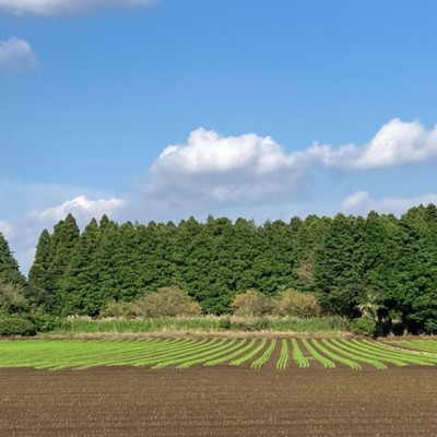 通いで参加できる方限定！都内から約1時間で1週間農業を経験してみませんか？