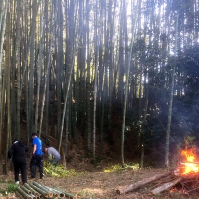 竹林と畑地及び沼地、約1万平米の場所で自然環境体験学習会を開催予定。そのための整備と映像教材を作成する作業を手伝ってください。また、学習会の講師補助もお願いします。
