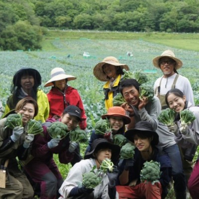 （日程調整可）北海道の広大な畑で、ブロッコリー収穫をお手伝い！