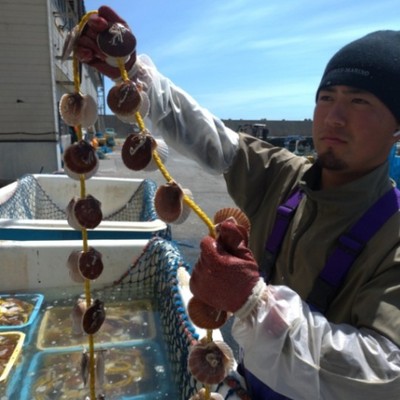 噴火湾ホタテ養殖発祥の地でお仕事！海と山に囲まれた小さな町でホタテ養殖漁業を体験してみませんか？