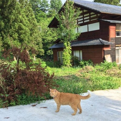 猫宿の冬の準備！！地域の魅力発信もお願いします。
