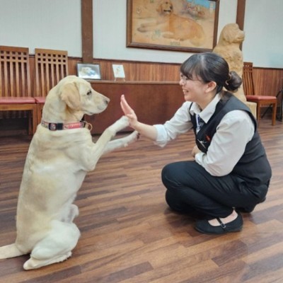 【飛騨高山】7月10日から8月終わりまで！自然に囲まれたわんちゃんと一緒に泊まれるホテルで洗い場業務のお手伝い🐶未経験・わんちゃん好き大歓迎♪