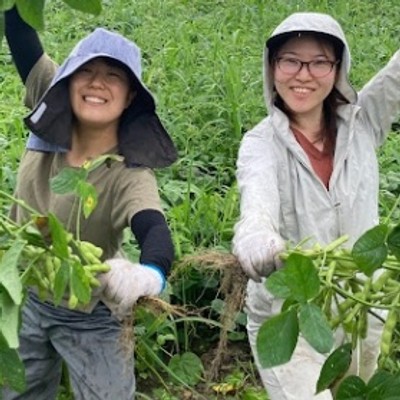 <追加募集>自然栽培の枝豆もぎとり体験
