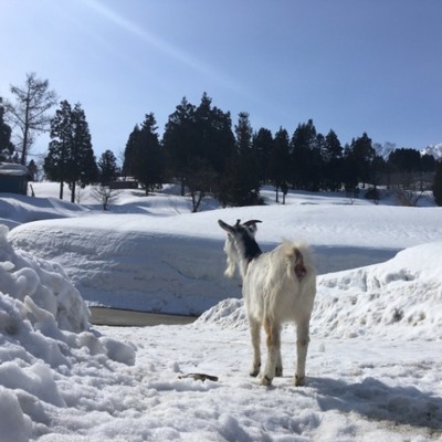 『移住お試しの家＆シェアハウス』お掃除助っ人募集！