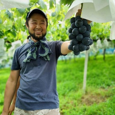 【日程調整可】日本三大夜景笛吹川フルーツ公園近くの眺めのよい畑でブドウまたはモモのお手伝い！