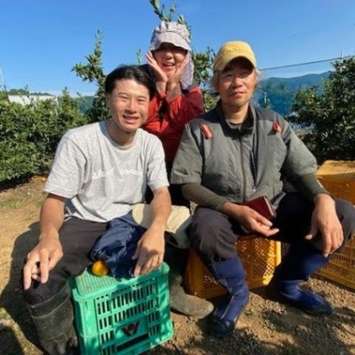 【有田みかんの収穫】美しい湯浅湾を臨むみかん畑で、日本一の有田みかん収穫のお手伝いしませんか？園主夫妻はシーカヤッカーとフラダンサー！毎年冒険家や旅人が続々とやってくるユニークな農園です。体力自慢、アウトドア好きさんのご応募大歓迎！