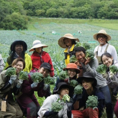 【日程調整可】北海道の辺境の地で、ブロッコリー収穫のおてつたび