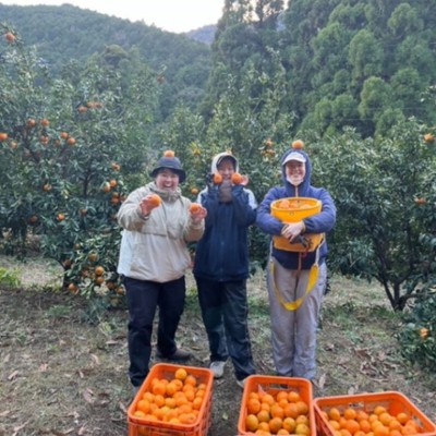 【12/22～12/28の1週間】ポンカン（柑橘）収穫のおてつたび！実質勤務は4日の予定。海山の幸豊富な愛媛県最南端の町、愛南町のはなきファームで仕事もプライベートも充実の年末を過ごしませんか？？