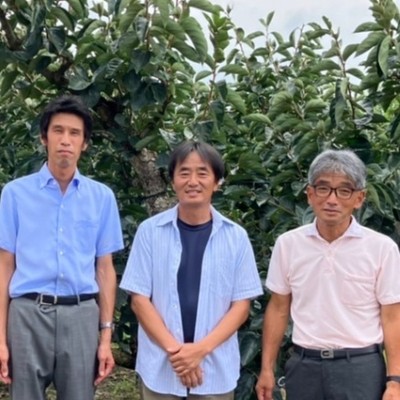 【🚴2週間🚴】🍁地域を支える柿の収穫作業！「刀根早生柿」発祥の地でおてつたび！地域農業の活性化と維持に皆さんの力をかしてください！