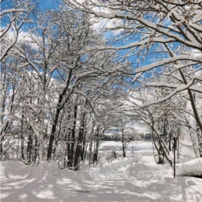 長野県信濃町で一緒にホテルの仕事してみませんか？冬季はスキー場が隣接しています★