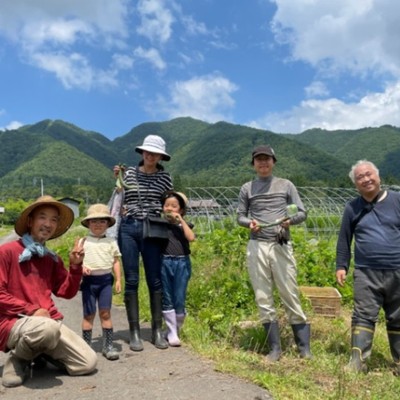 【日程調整OK】飛騨神岡で有機農業のお手伝い！いちご、トマト、人参など色々な野菜のお世話をしてみませんか？