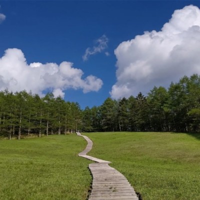 標高1800mの涼しい高原はお花が咲きそろう季節になりました。美味しい空気とお水、お花、自然に囲まれた高原の小さな山小屋で一緒に働いてみませんか？料理の美味しい山小屋での宿泊・飲食業務のお手伝いです。