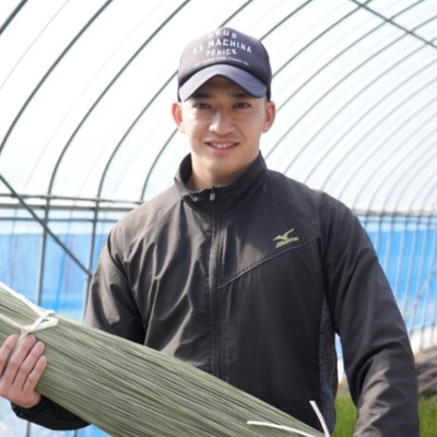 【3日間】日本の文化である畳の原料となる、い草の生産作業&露地野菜の収穫のおてつたび！畳の香りをぜひお楽しみください！