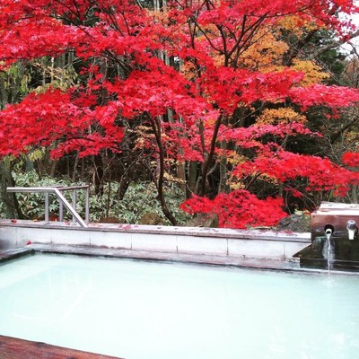 日塩もみじライン沿いにある温泉宿でお手伝いしませんか？標高約1,000mの山奥で大自然を感じられます！塩原温泉までのアクセスも抜群！！