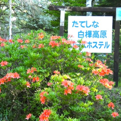 立科白樺高原ユースホステル