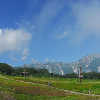 🌿夏の白馬で合宿受け入れのお手伝い！過去の参加者は20代が多いです◎一緒ににぎやかな夏を過ごしましょう！