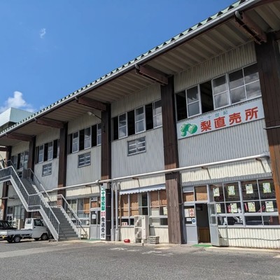 【23日間🍐】 湯梨浜町名産「東郷梨（二十世紀梨）」の旬を支える！選果場のおてつたび！